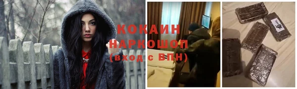 соль ск Богородск