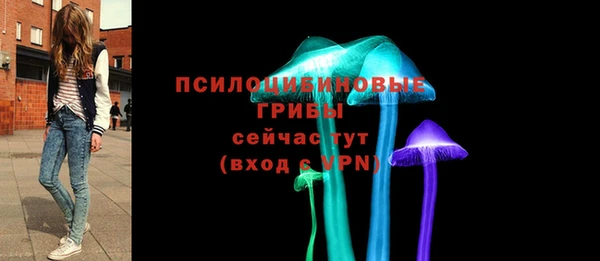 mix Богородицк