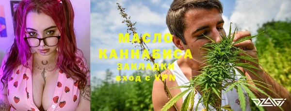 mix Богородицк