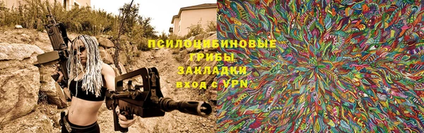 mix Богородицк