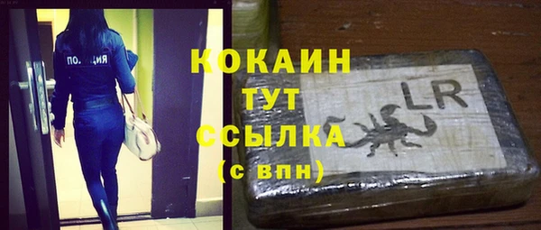 mix Богородицк