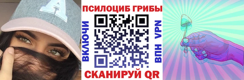 Купить где Верея Галлюциногенные грибы Psilocybine cubensis